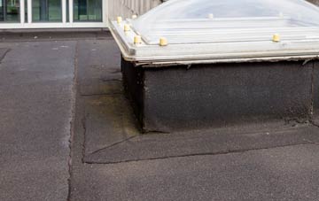 disadvantages of Lane Heads flat roofs