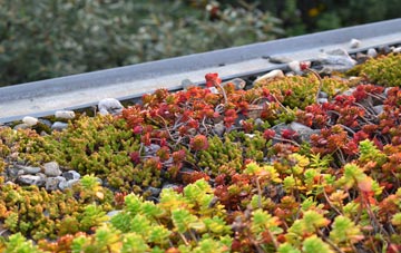 the cost of Lane Heads green roof installation