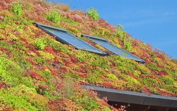 Lane Heads living roof systems