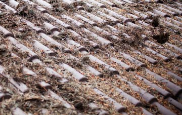 Lane Heads roof cleaning companies